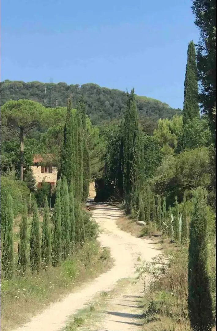 Pelagone Suvereto
